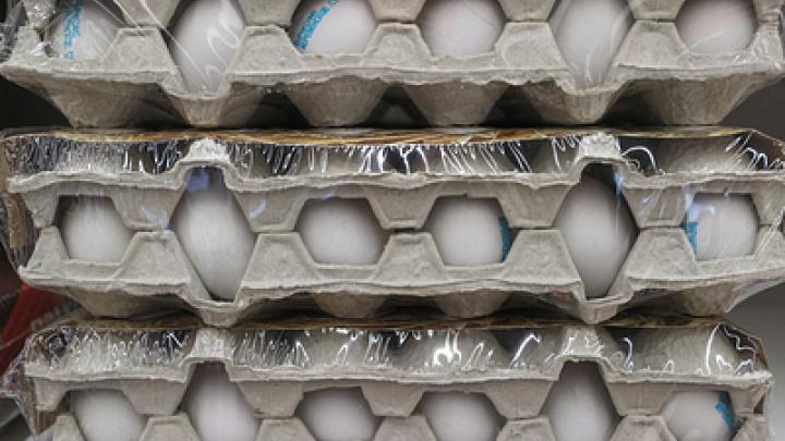 Капитализм подкрался незаметно: Яйца уничтожают, чтобы держать завышенные цены
