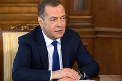 Медведев оценил решение Макрона отложить визит в Киев