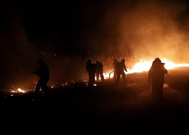 Спасатели за сутки ликвидировали в ЛНР 50 пожаров на открытых территориях