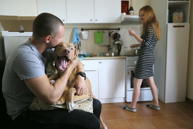 Гражданин добился в суде, чтобы соседям запретили держать в квартире собак